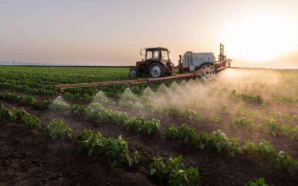 Best Pest Control for Businesses  in Becker, MN
