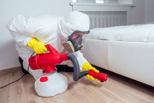 Reliable Becker, MN Pest Control Solutions