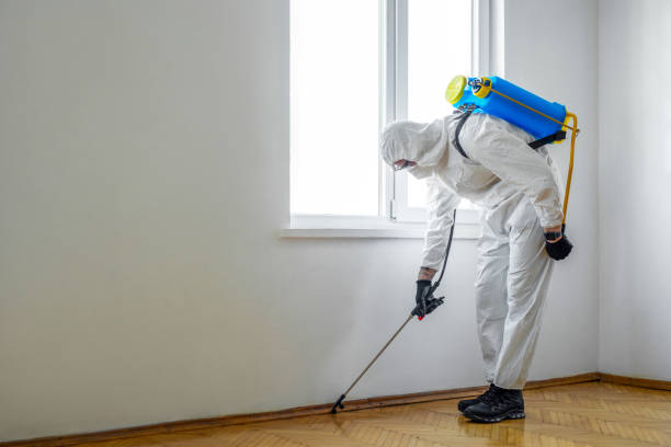 Best Ant Control Services  in Becker, MN