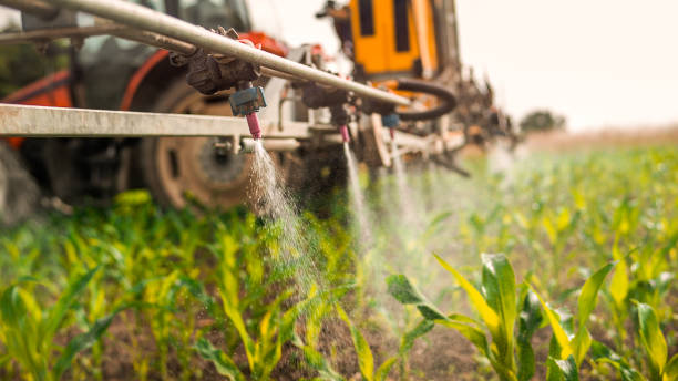 Best Commercial Pest Control Services  in Becker, MN